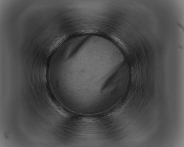 X0000092290490200710051204