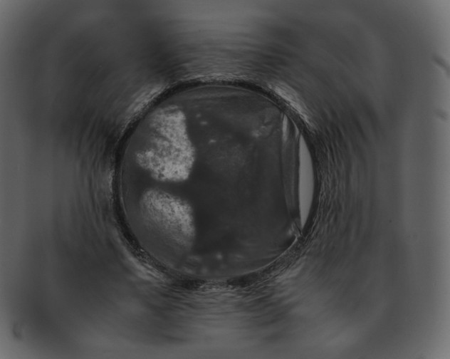 X0000092290491200710051204