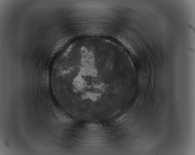 X0000092290494200710051204