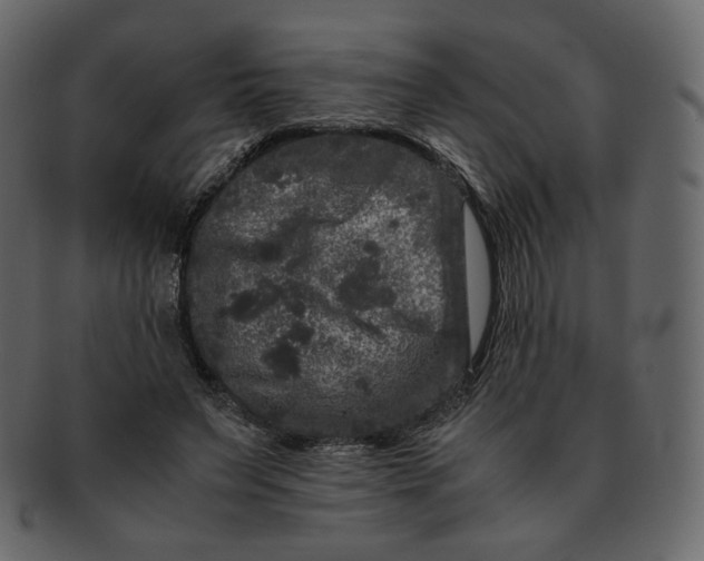 X0000092290495200710051204