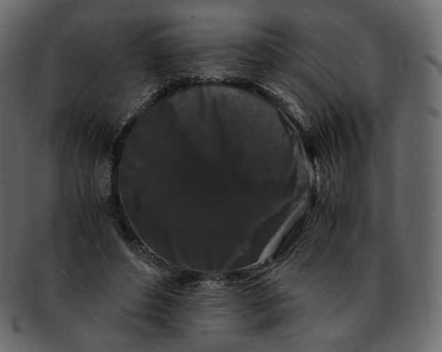 X0000092290496200710051204