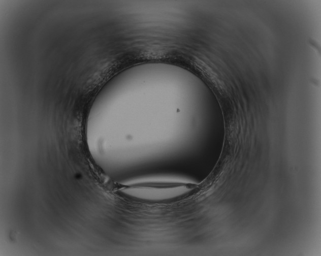 X0000092290497200710051204