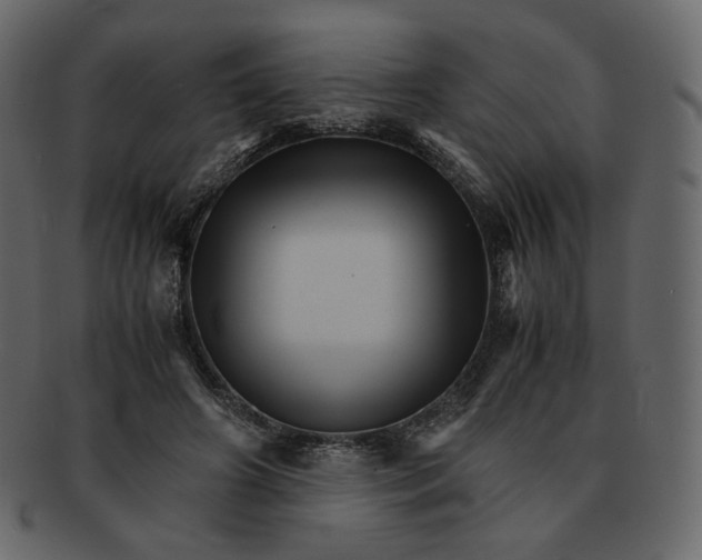 X0000092290498200710051204