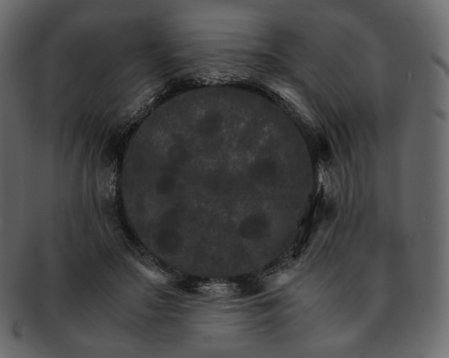 X0000092290499200710051204