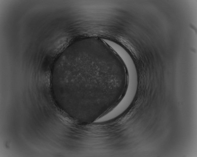 X0000092290501200710051204