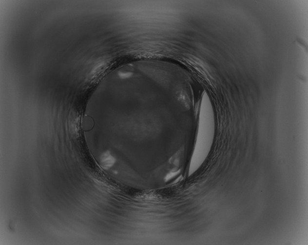 X0000092290503200710051204