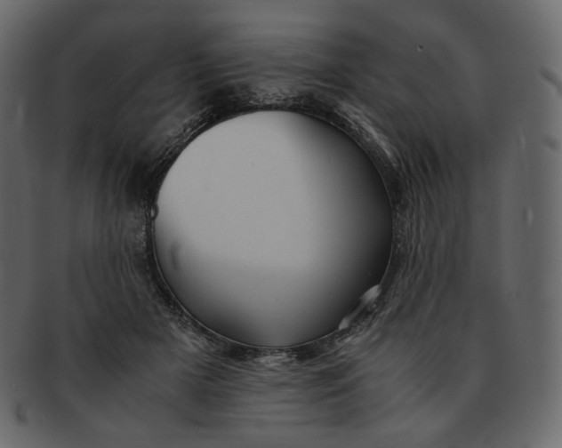 X0000092290505200710051204