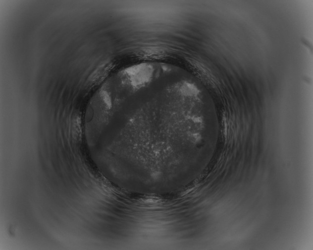 X0000092290506200710051204