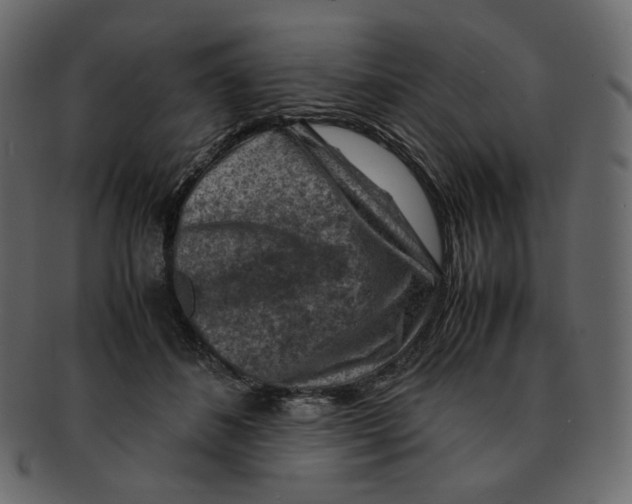 X0000092290508200710051204