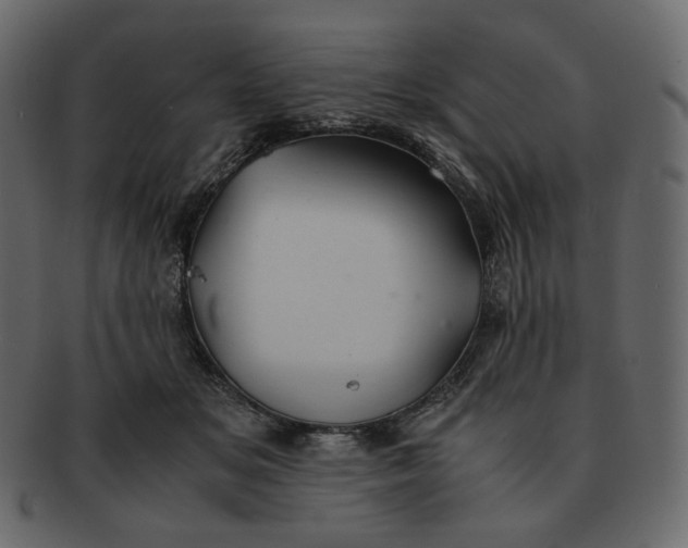 X0000092290509200710051204