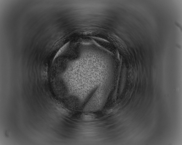 X0000092290510200710051204