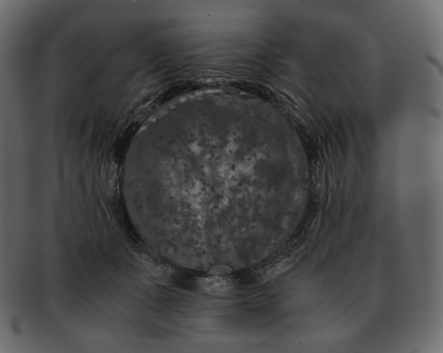 X0000092290511200710051204