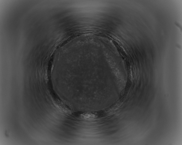 X0000092290512200710051204