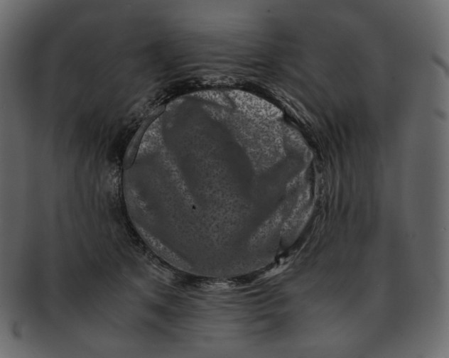 X0000092290513200710051204