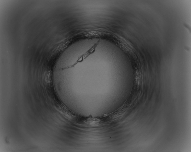 X0000092290514200710051204