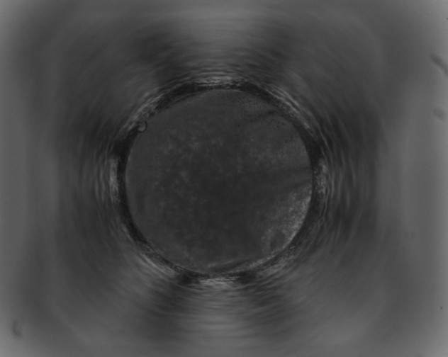 X0000092290516200710051204