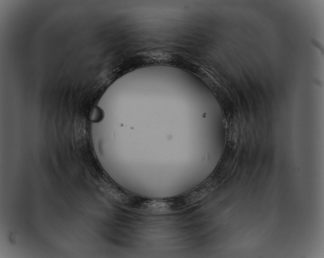 X0000092290518200710051204