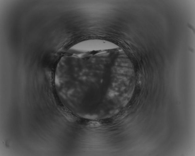 X0000092290519200710051204