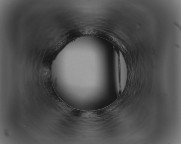 X0000092290521200710051204