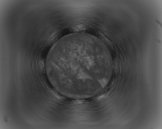 X0000092290523200710051204