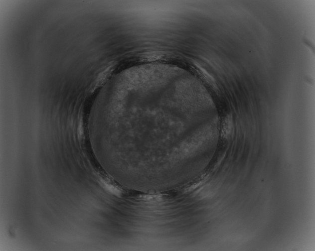 X0000092290524200710051204