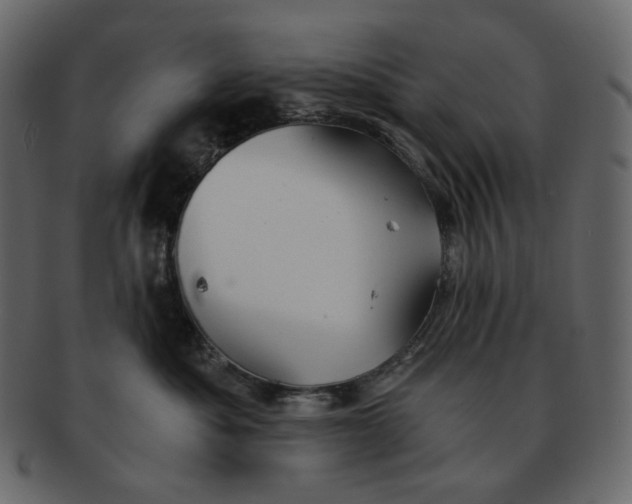 X0000092290525200710051204