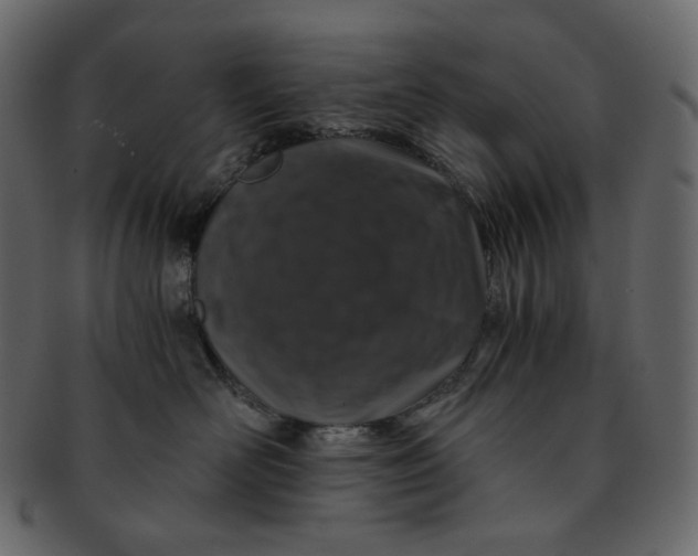 X0000092290526200710051204