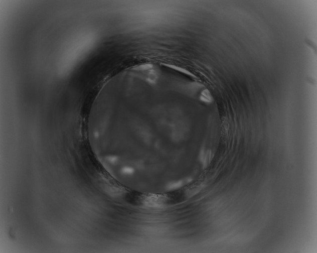 X0000092290527200710051204