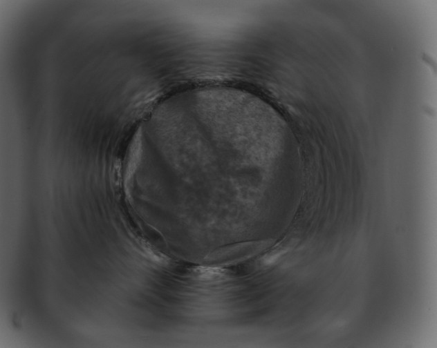 X0000092290528200710051204