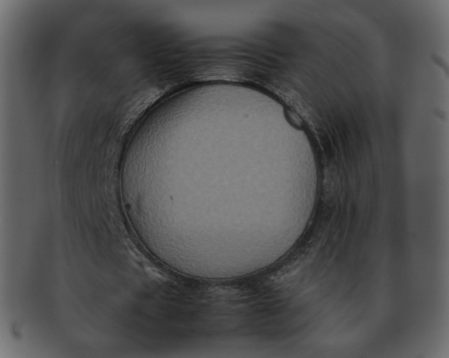 X0000092290529200710051203