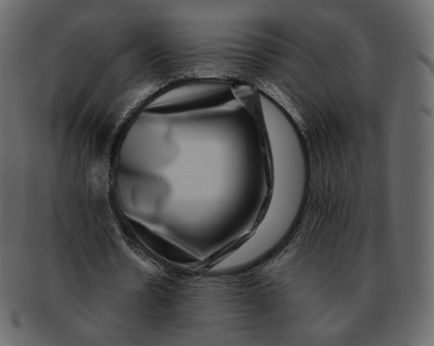 X0000092290530200710051203