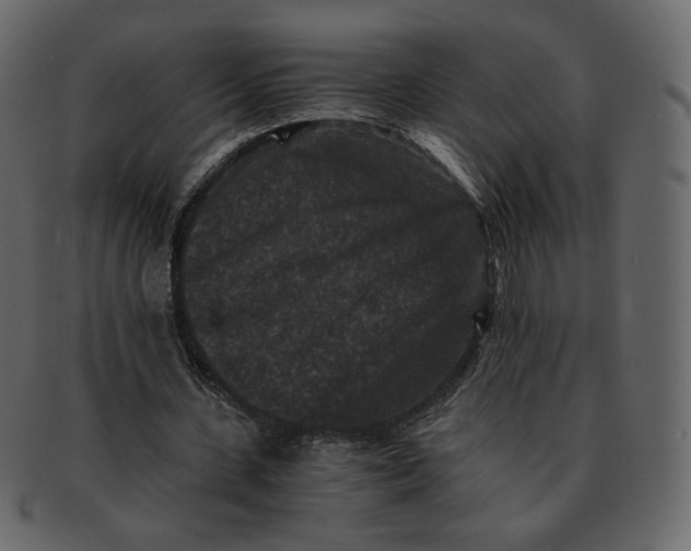 X0000092290531200710051203