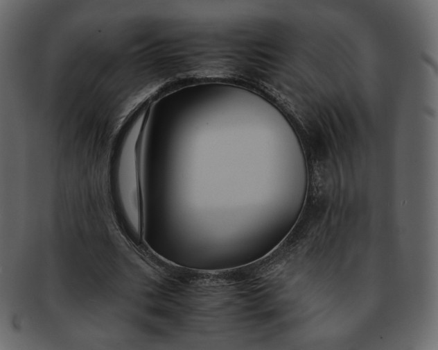 X0000092290535200710051203