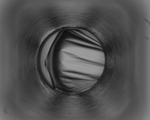 X0000092290536200710051203