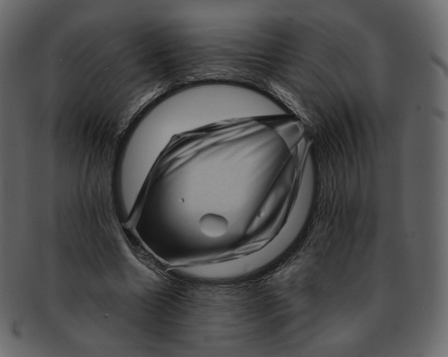 X0000092290538200710051203