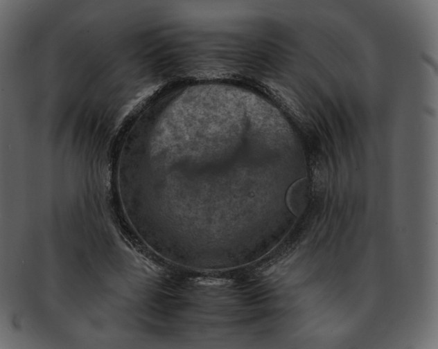 X0000092290539200710051203