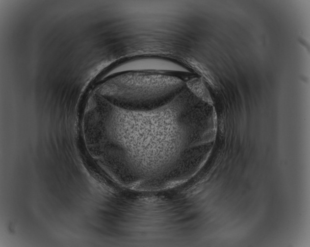 X0000092290540200710051203