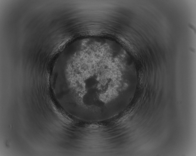 X0000092290542200710051203