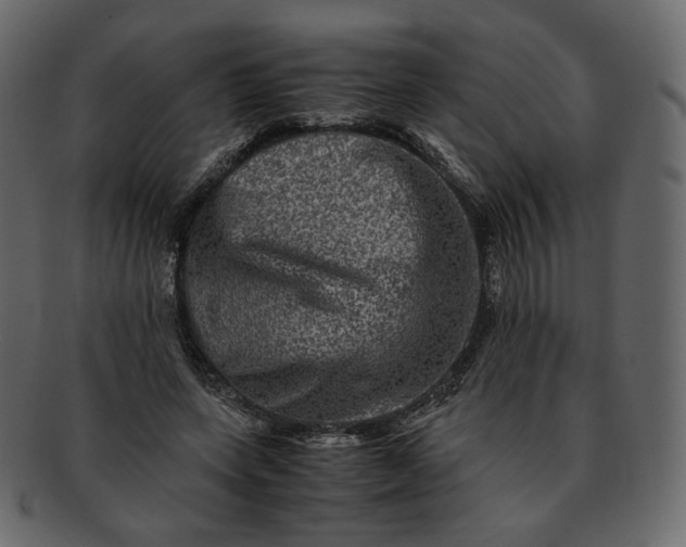 X0000092290543200710051203