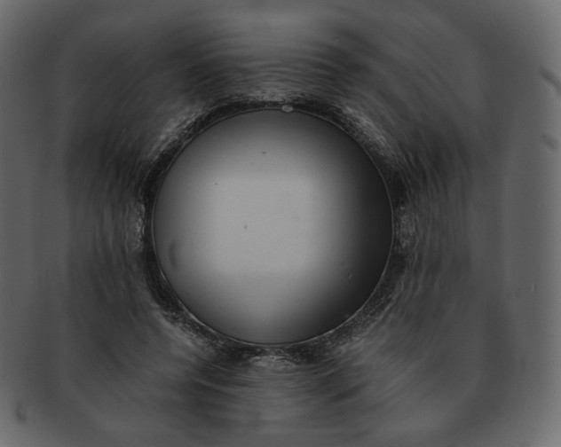 X0000092290544200710051203