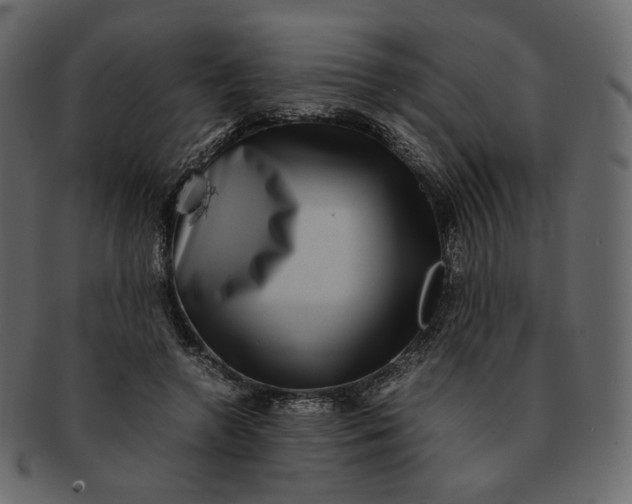 X0000092290546200710051203