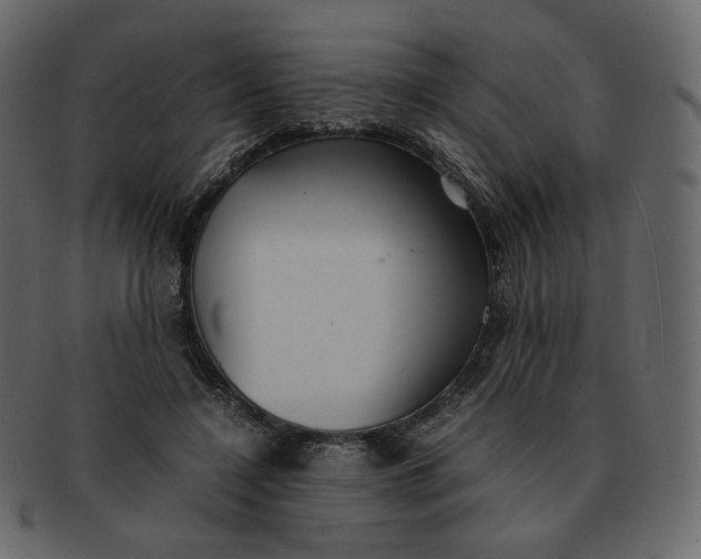 X0000092290548200710051203