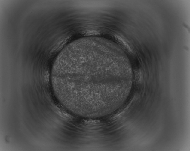 X0000092290549200710051204