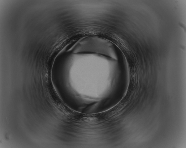 X0000092290552200710051204