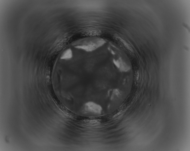 X0000092290553200710051204