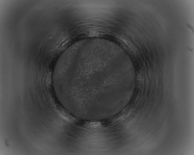 X0000092290554200710051204