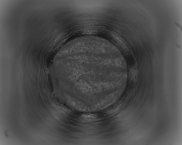 X0000092290557200710051204