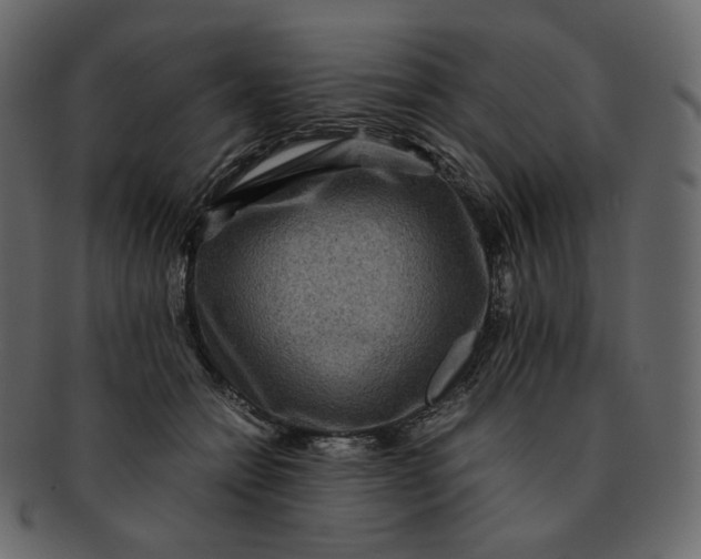 X0000092290558200710051204