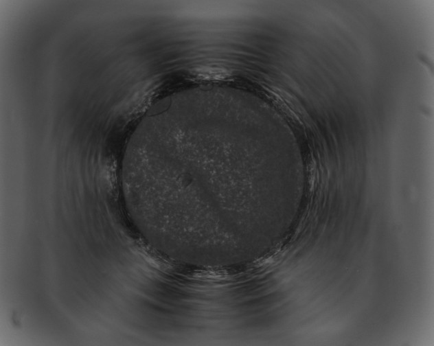 X0000092290559200710051204