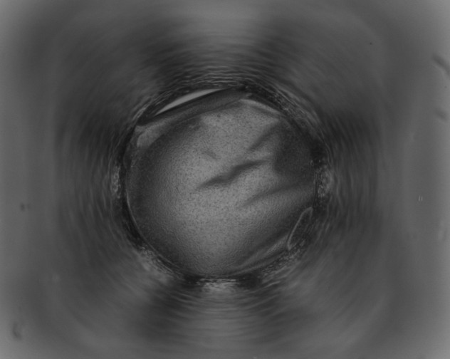 X0000092290560200710051204